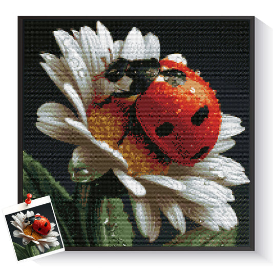 Custom ladybug diamond painting created from a personal photo – DYCDIY